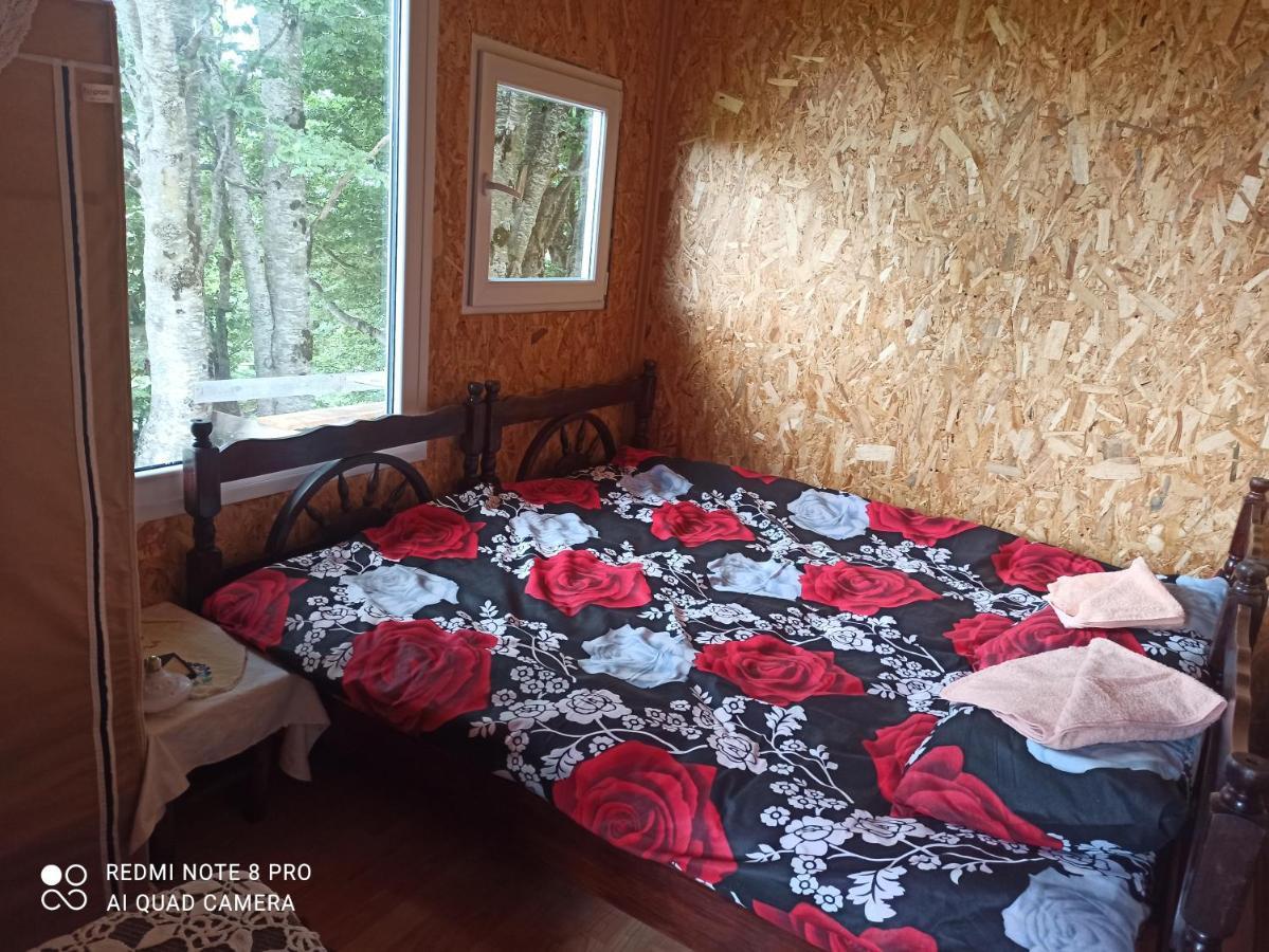 Katun Ljeljenak 호텔 플루지네 외부 사진