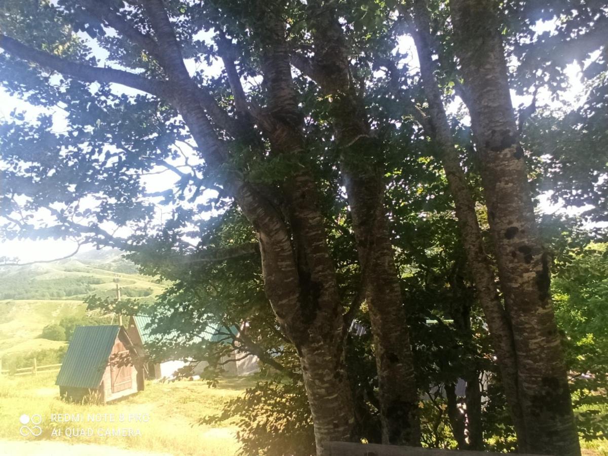 Katun Ljeljenak 호텔 플루지네 외부 사진