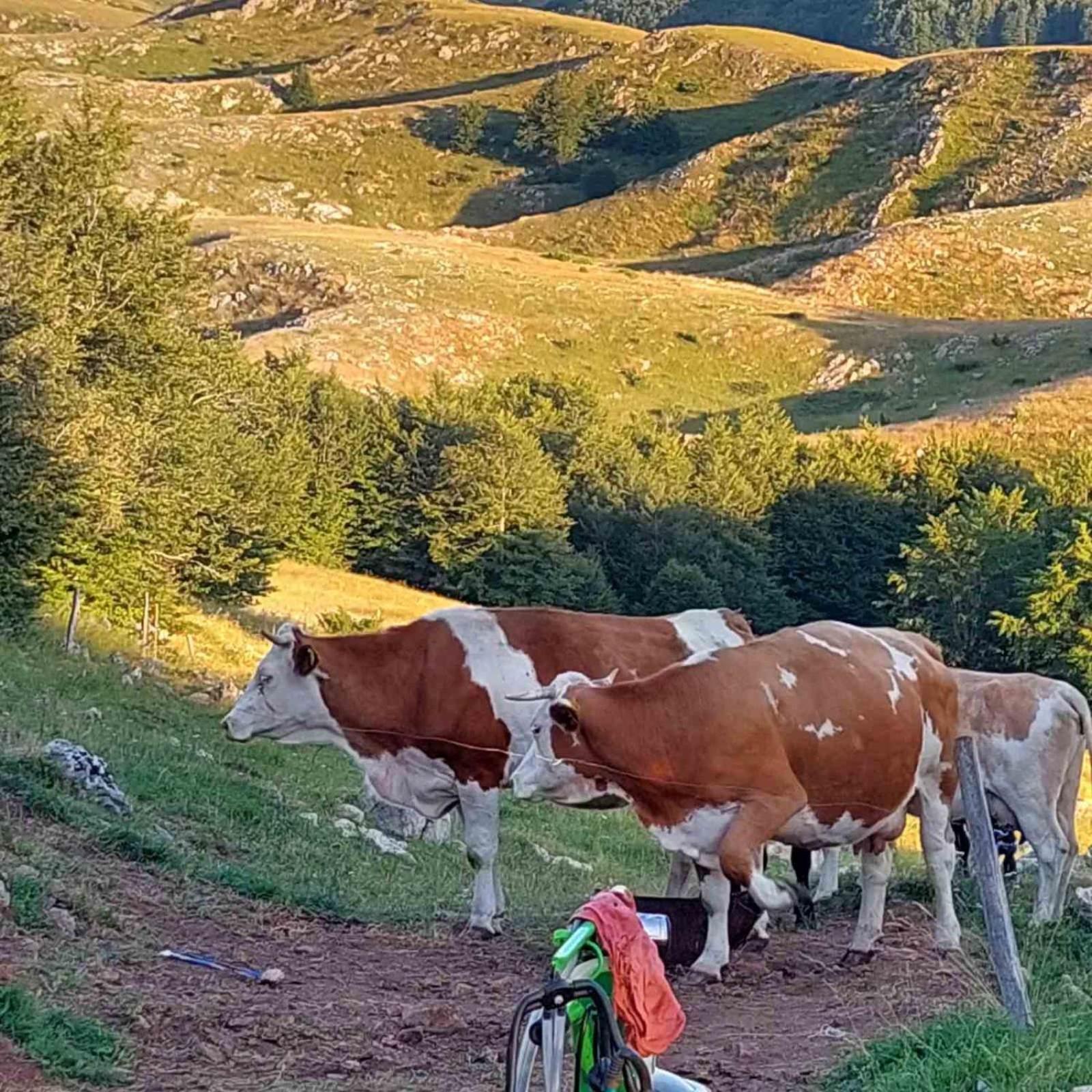 Katun Ljeljenak 호텔 플루지네 외부 사진