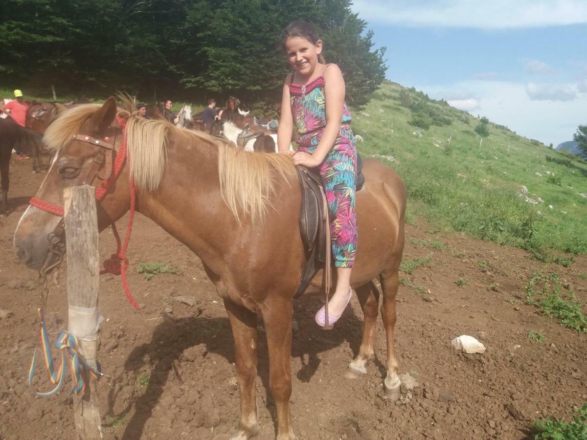 Katun Ljeljenak 호텔 플루지네 외부 사진