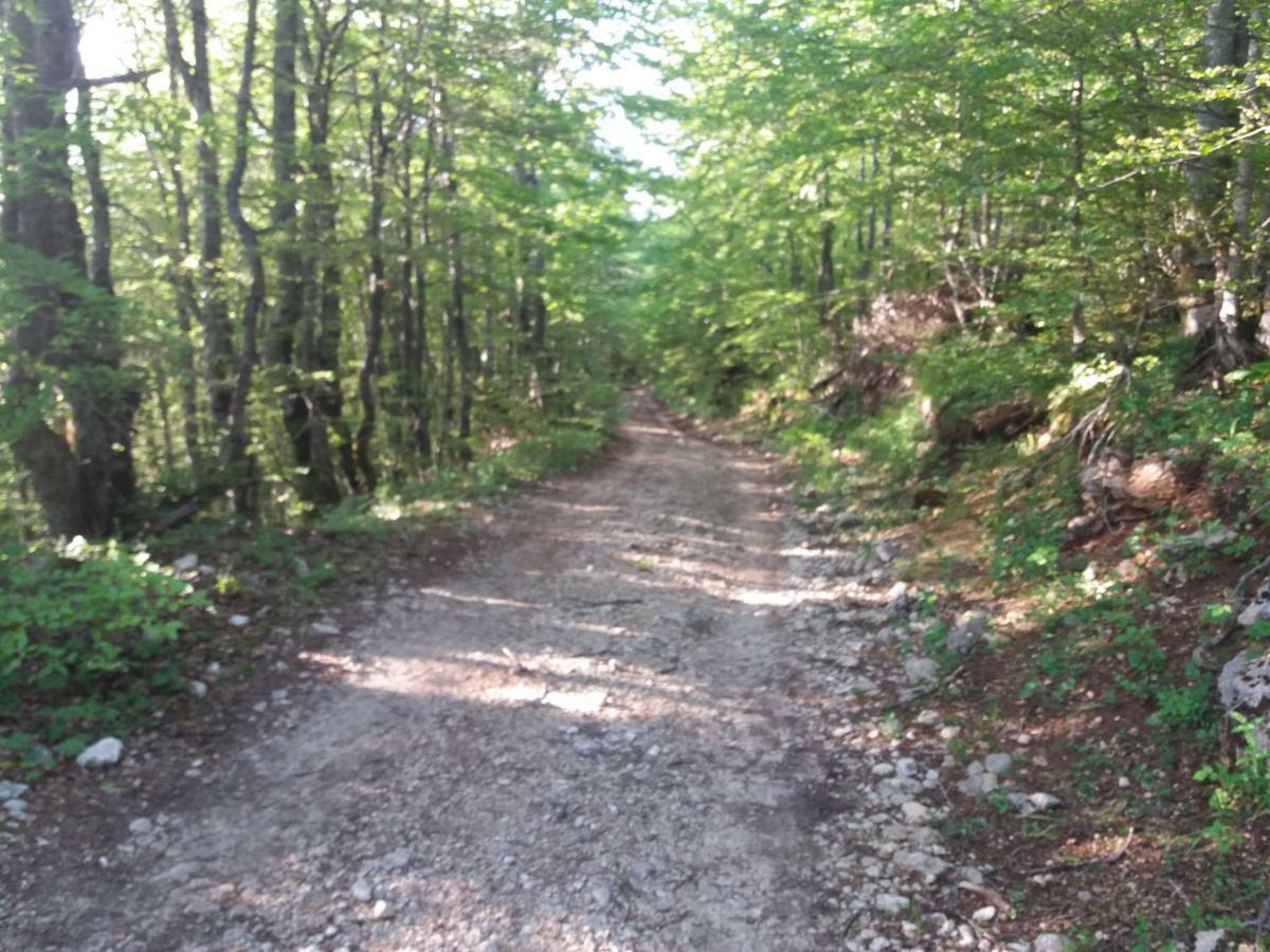 Katun Ljeljenak 호텔 플루지네 외부 사진