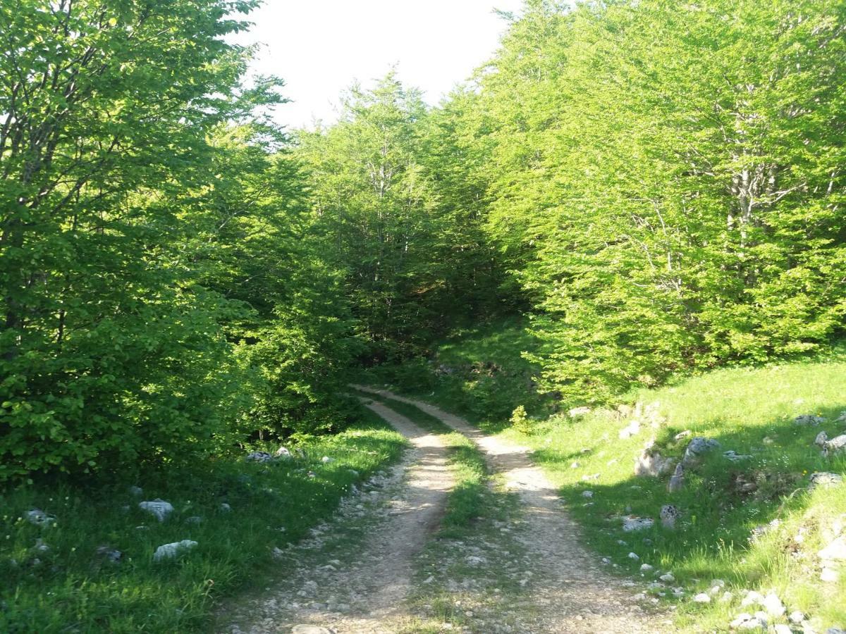 Katun Ljeljenak 호텔 플루지네 외부 사진