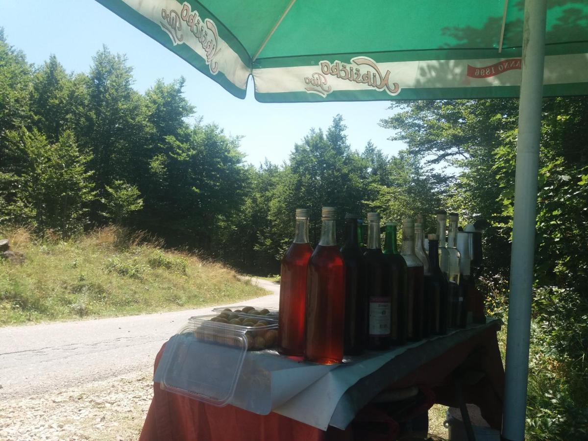 Katun Ljeljenak 호텔 플루지네 외부 사진
